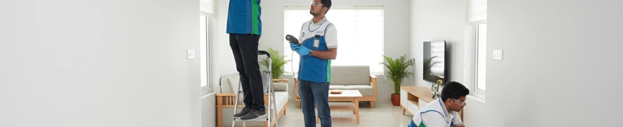 Anti-Lizard Treatment