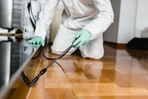 Apartment Ant Control