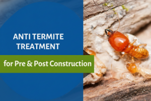 Pre-Construction Anti Termite Treatment